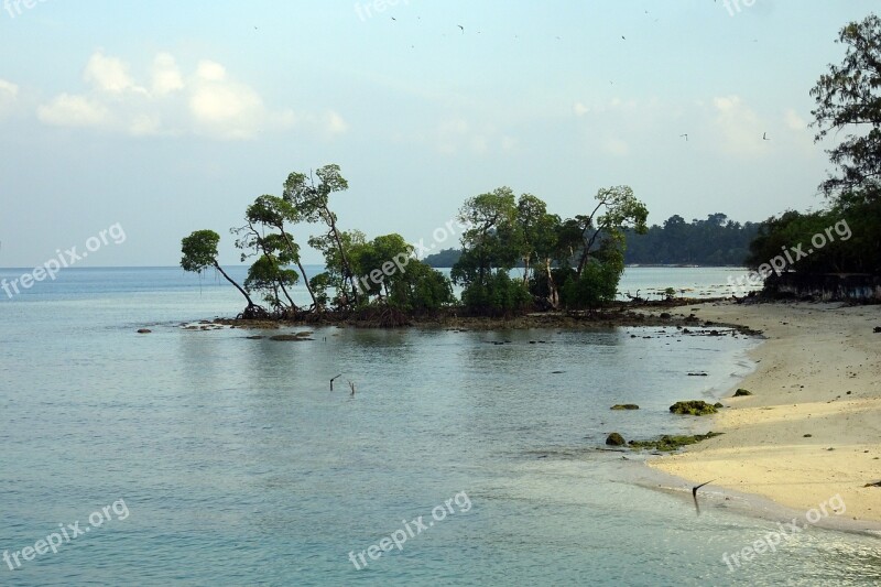 Beach Sea Shore Coast Scenic