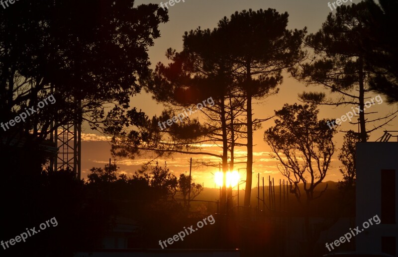 Sunset Landes Nature Summer Landscape