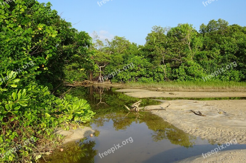 Beach Creek Sea Wandoor Foliage