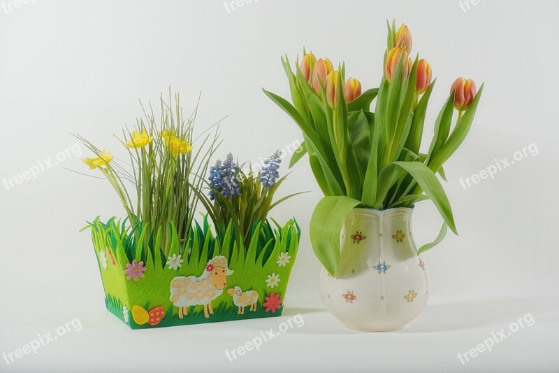 Spring Still Life Decoration Flowers Floral Greeting