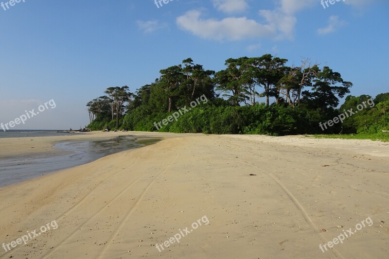 Beach Sea Wandoor Foliage Vegetation