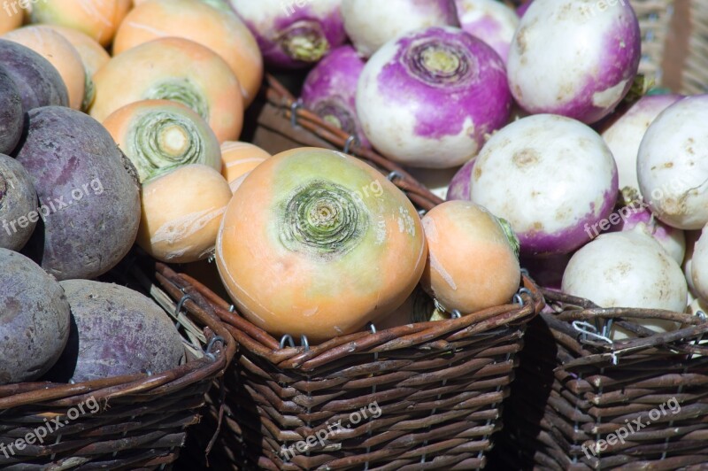 Turnips Garden Vegetable Garden Vegetables Harvest