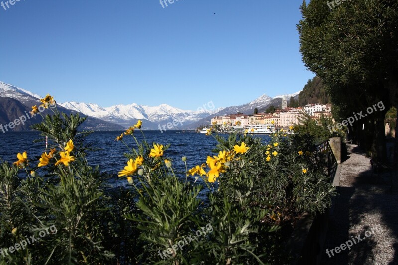 Spring Flowers Lake Nature Como