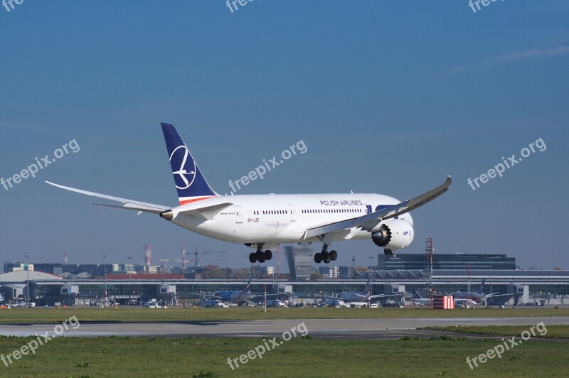 The Plane Airport Aviation Aircraft Wing