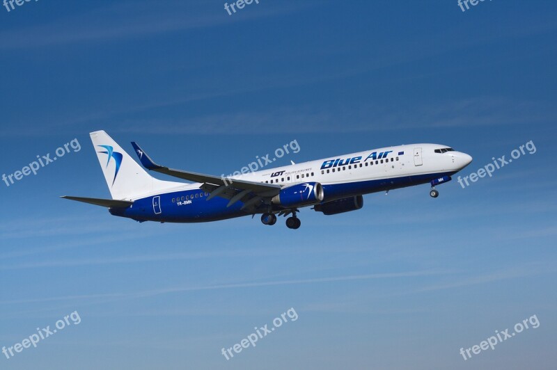 The Plane Airport Aviation Aircraft Wing