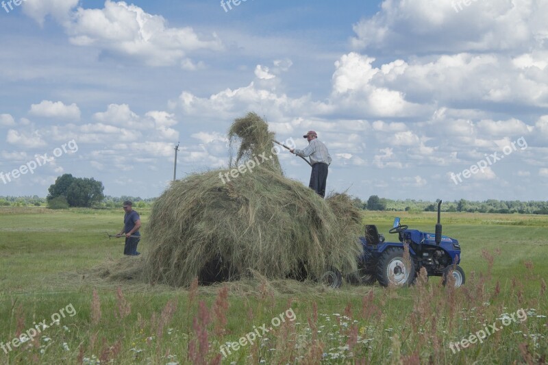 Village Rick Work Grass Haymaking