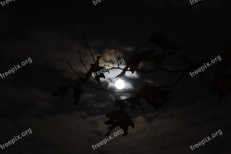 Moon Night Mystical Light Sky