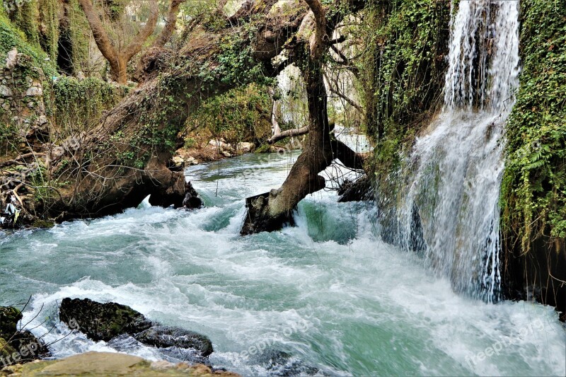 Waterfall River Streaming Forest Nature