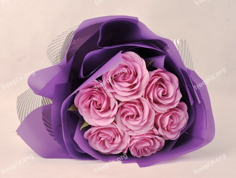 Romantic Paper Pink Purple Rose