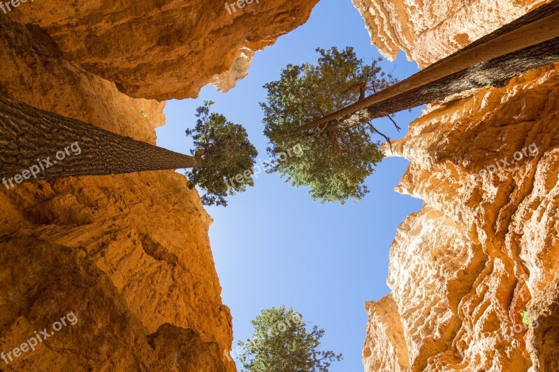 Brice Canyon Rocks Trees Tree Park