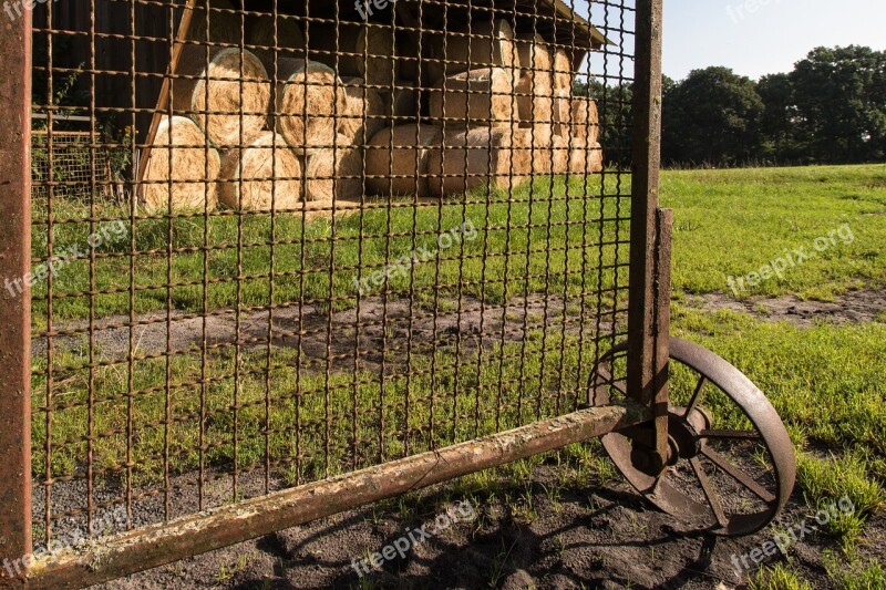 Goal By Looking Straw Bales Harvest Rust