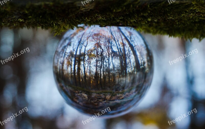 Ball Spherical Photography Evening Evening Walk Forest