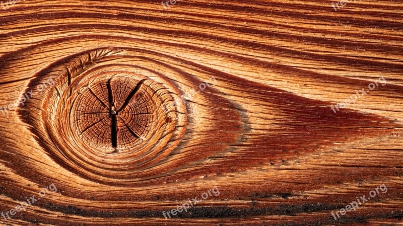 Wood Structure Texture Surface Annual Rings