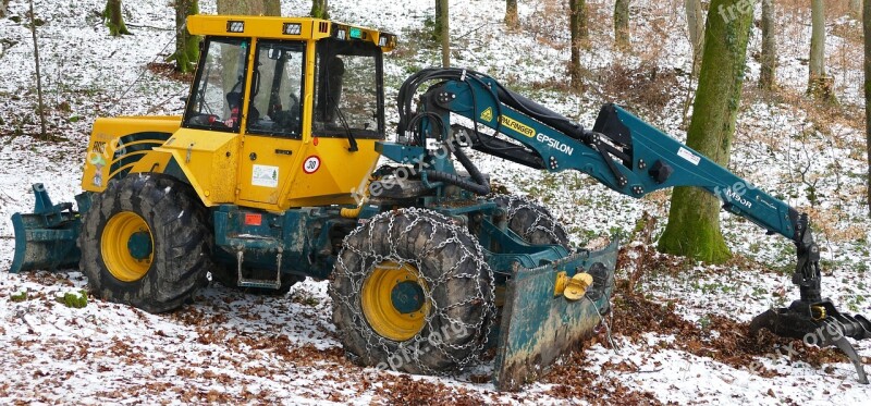 Nature Forest Winter Snow Timber Harvesting