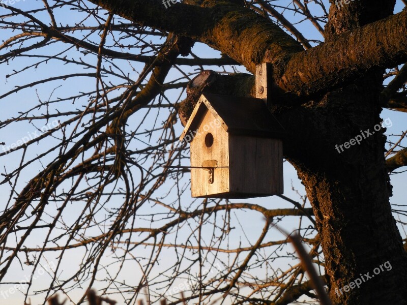 Aviary Bird House Tree Garden