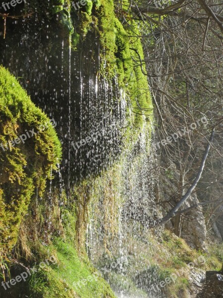 Water Waterfall The Creek Nature Flowing