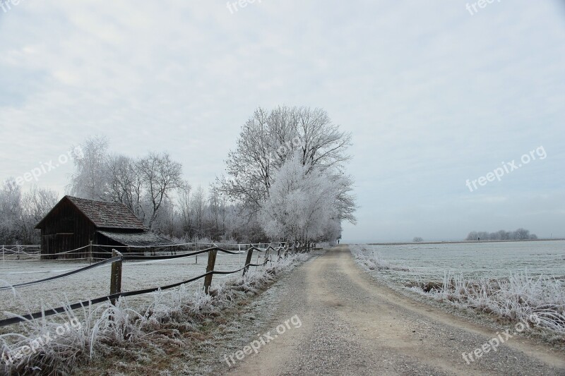 Winter Wintry Ripe Nature Cold