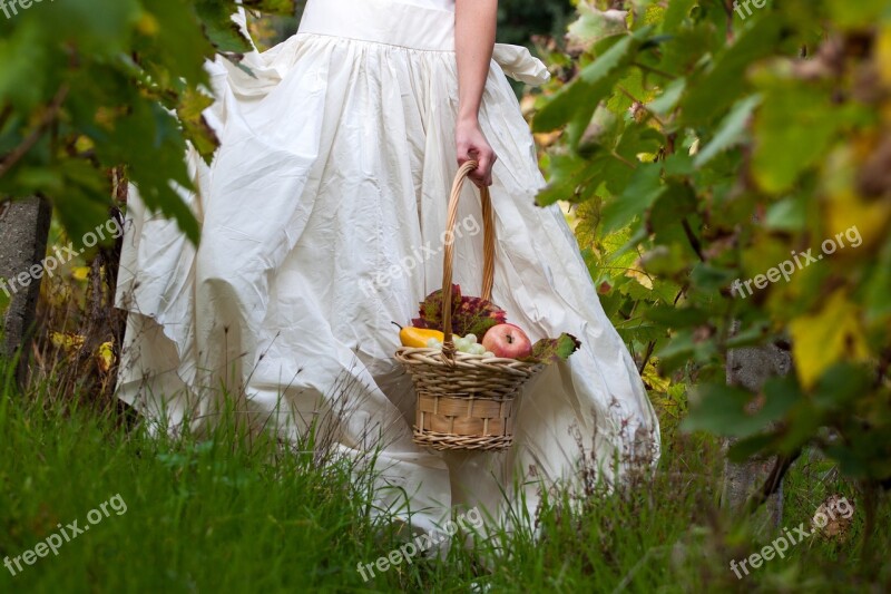 Woman Girl Dress White Basket