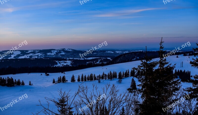 Twilight Landscape Winter Forest Fir