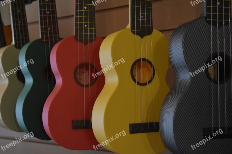 Ukulele Music Instrument Hawaii Acoustic