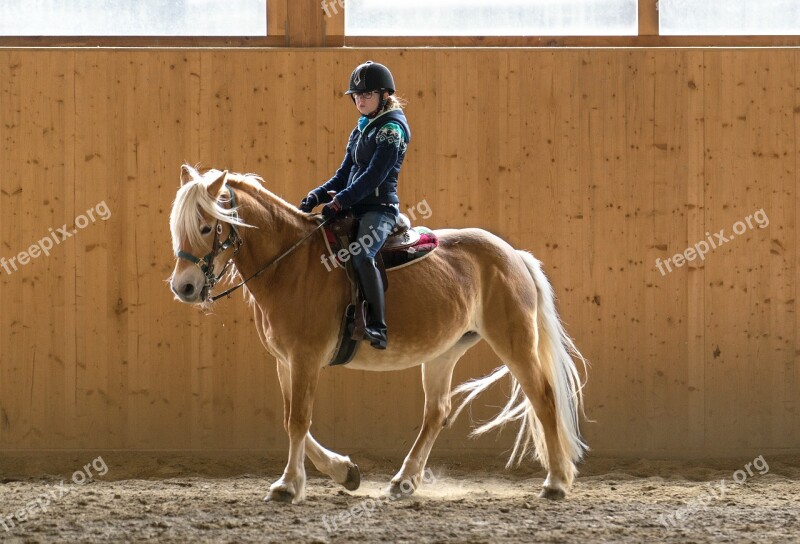 Ride Reithalle Lena Rocky Motard Horse