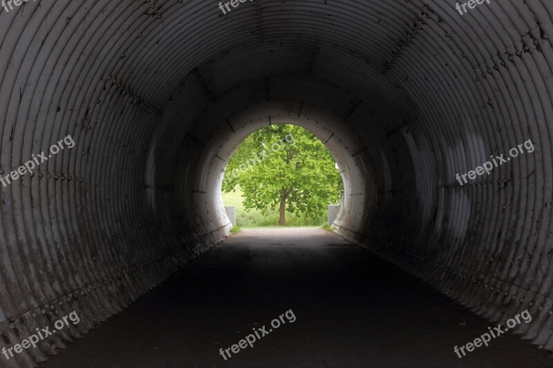 Tunnel Tree Light Dark Center