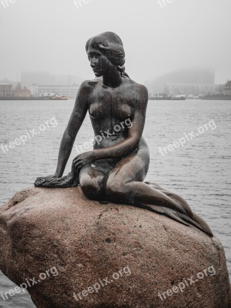 Little Mermaid Statue Copenhagen Denmark Statue Mermaid