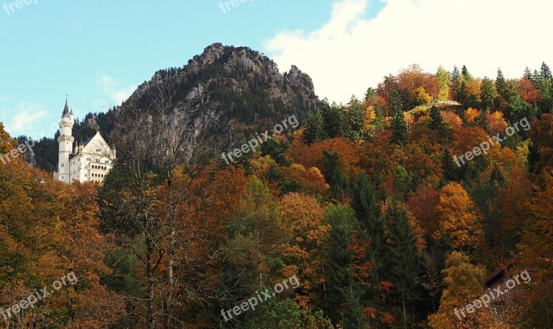 Forest Castle Fall Mountain Nature