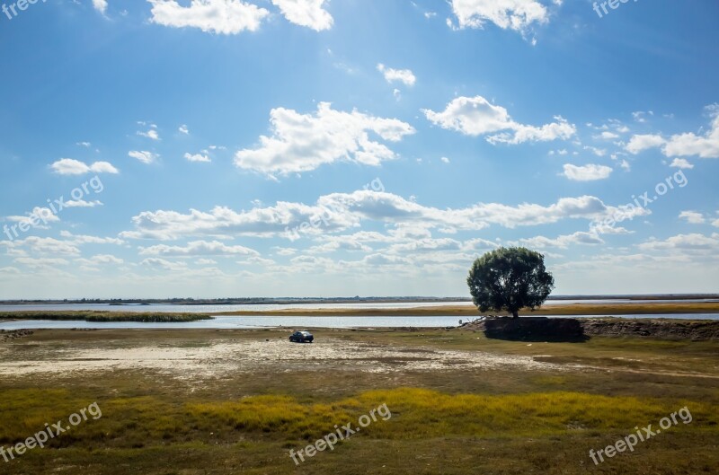 Prairie Wetlands The Scenery Natural Plant