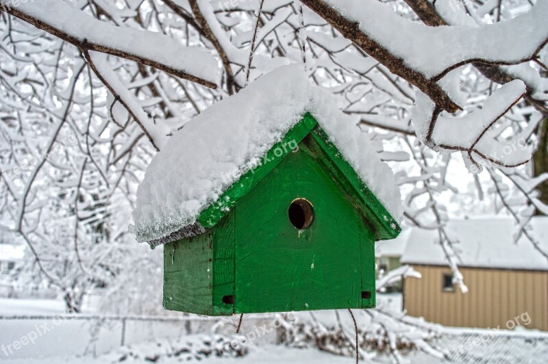 Snow Winter Contrast Bird Birdhouse