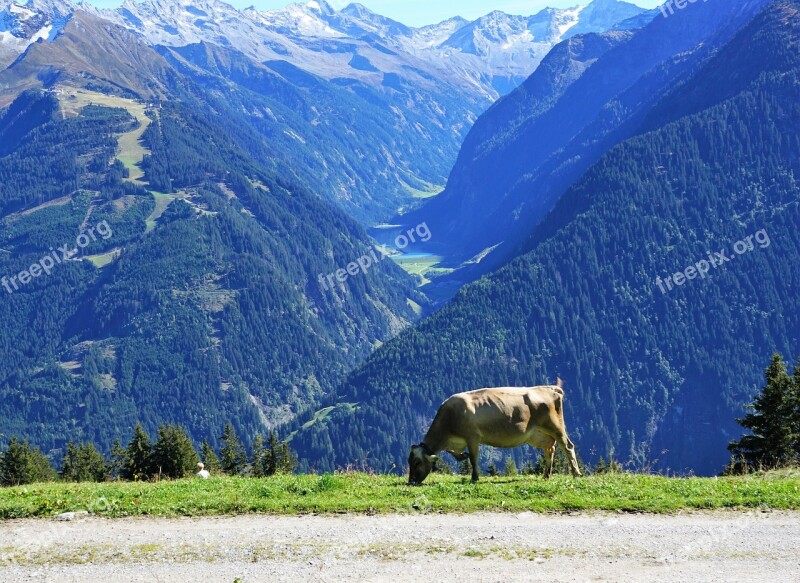 Finkenberg Austria Mountain Hike Holidays