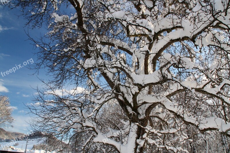 Winter Snow Snow Landscape Alpine Wintry