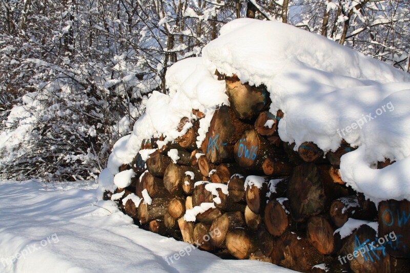 Winter Snow Firewood Forest Trees