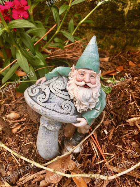 Garden Flowers Gnome Plant Red