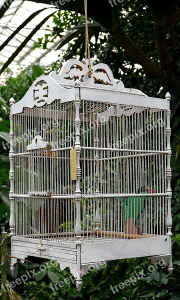 Cage Boxed Bars Wood Bird