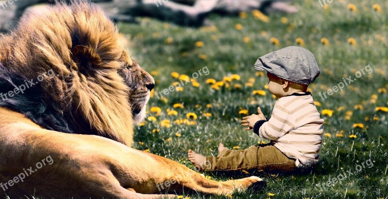 Play Child Lion Fun Boy