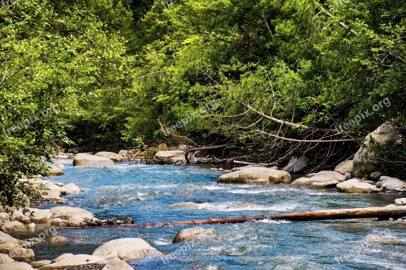 Stream Alpine River Greenery Water