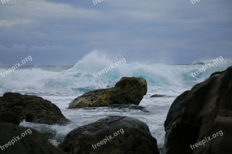 Beach Marine Sea Sea Reef Taiwan