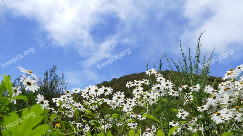 Madeira Mountains Sky Plant Nature