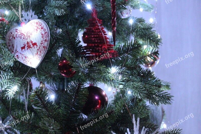 Christmas Fir Decoration Winter Lights