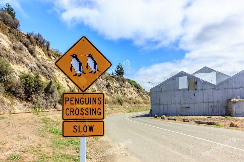 Penguins Sign Penguins Crossing Signage Slow