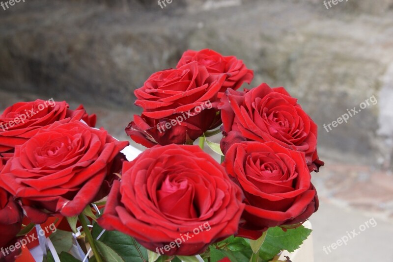 Rose Red Bridal Bouquet Flowers Love