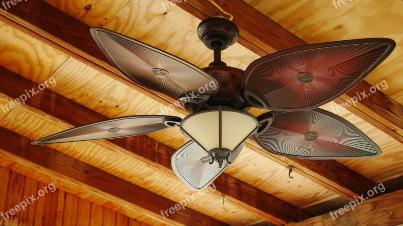 Indoors Ceiling Fan Interior Circulation Cool