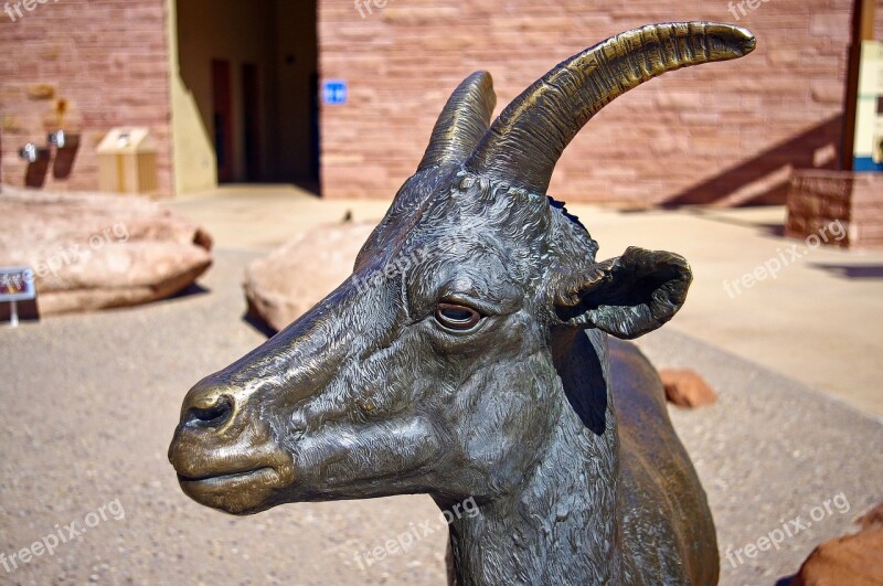 Bronze Bighorn Ewe Bronze Statue Desert Bighorn