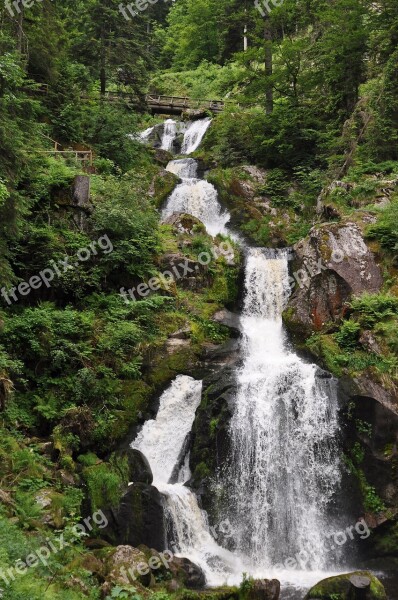 Waterfall Water Triberg Black Forest Free Photos