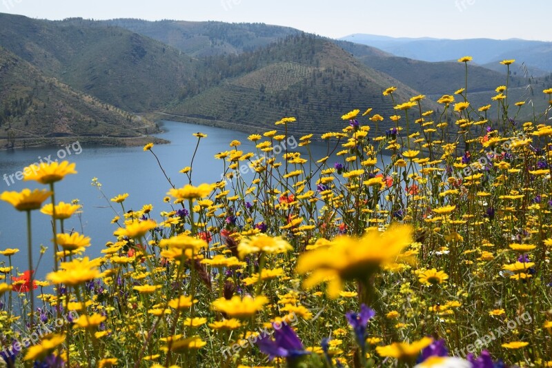 River Douro Landscape Mountains Nature Mountain