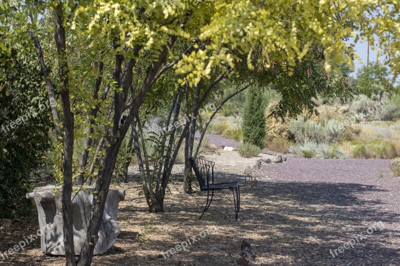 Desert Oasis Peace Walk Garden Bench