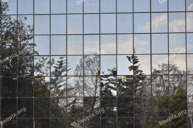 Reflection Vegetation Glassware Office Window Sky