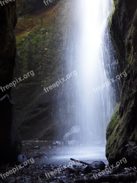 Waterfall Forest Los Tilos San Andrés Y Sauces La Palma