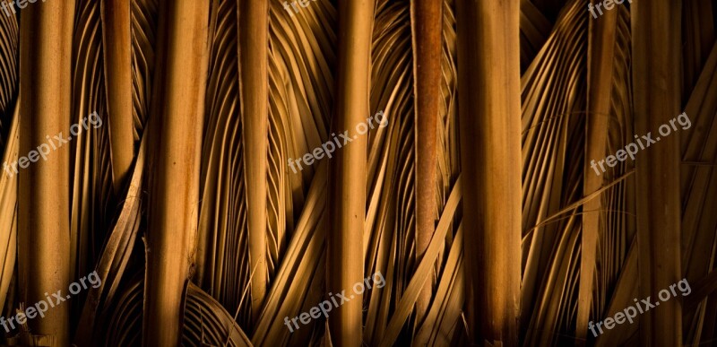 Desktop Pattern Abstract Industry Nature